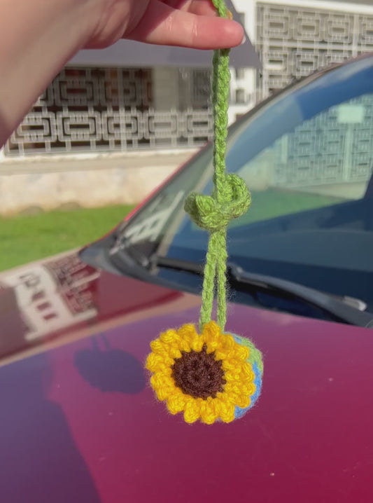 Earth Car/Purse Hanger